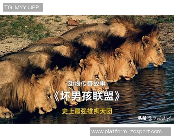 足球狮子标的传奇故事与全球影响力探讨